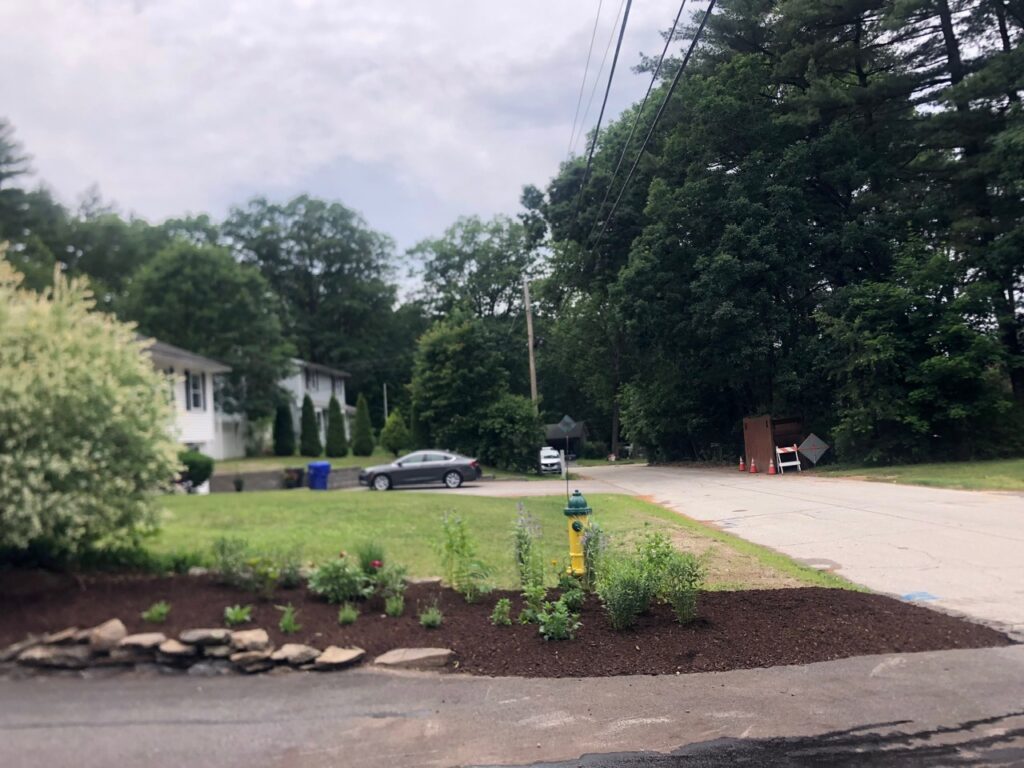This fun project in Hudson, NH had the crew revisiting and revamping one of our existing gardens! The Excavator dug out 10 yards of poor soil and replaced it with 10 yards of good soil. Last year , in early July, we planted 100 perennials of which half were shade and the others sun loving. These new 80 perennials really made the front side and back yard pond garden quite lovely.