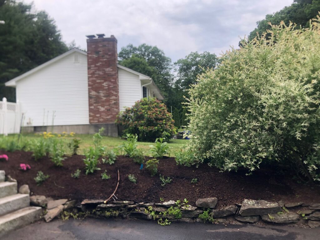 This fun project in Hudson, NH had the crew revisiting and revamping one of our existing gardens! The Excavator dug out 10 yards of poor soil and replaced it with 10 yards of good soil. Last year , in early July, we planted 100 perennials of which half were shade and the others sun loving. These new 80 perennials really made the front side and back yard pond garden quite lovely.