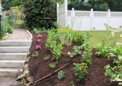 This fun project in Hudson, NH had the crew revisiting and revamping one of our existing gardens! The Excavator dug out 10 yards of poor soil and replaced it with 10 yards of good soil. Last year , in early July, we planted 100 perennials of which half were shade and the others sun loving. These new 80 perennials really made the front side and back yard pond garden quite lovely.