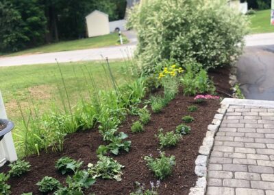 This fun project in Hudson, NH had the crew revisiting and revamping one of our existing gardens! The Excavator dug out 10 yards of poor soil and replaced it with 10 yards of good soil. Last year , in early July, we planted 100 perennials of which half were shade and the others sun loving. These new 80 perennials really made the front side and back yard pond garden quite lovely.