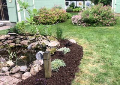 This fun project in Hudson, NH had the crew revisiting and revamping one of our existing gardens! The Excavator dug out 10 yards of poor soil and replaced it with 10 yards of good soil. Last year , in early July, we planted 100 perennials of which half were shade and the others sun loving. These new 80 perennials really made the front side and back yard pond garden quite lovely.