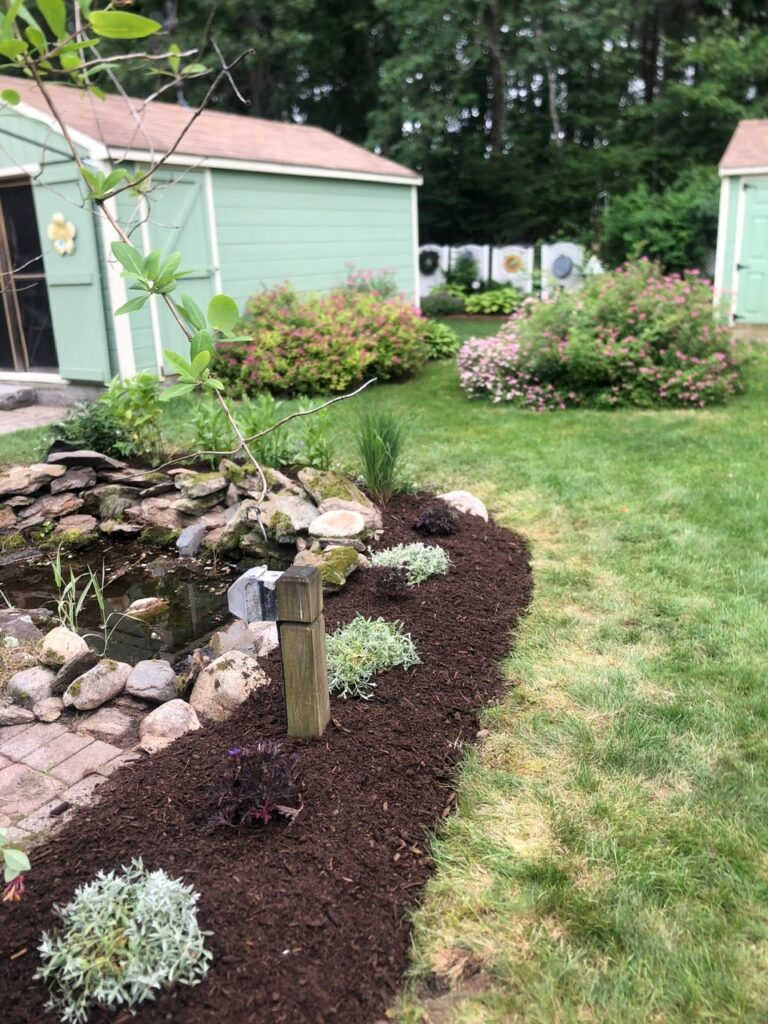This fun project in Hudson, NH had the crew revisiting and revamping one of our existing gardens! The Excavator dug out 10 yards of poor soil and replaced it with 10 yards of good soil. Last year , in early July, we planted 100 perennials of which half were shade and the others sun loving. These new 80 perennials really made the front side and back yard pond garden quite lovely.