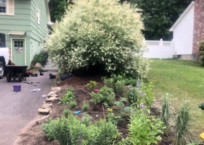 This fun project in Hudson, NH had the crew revisiting and revamping one of our existing gardens! The Excavator dug out 10 yards of poor soil and replaced it with 10 yards of good soil. Last year , in early July, we planted 100 perennials of which half were shade and the others sun loving. These new 80 perennials really made the front side and back yard pond garden quite lovely.