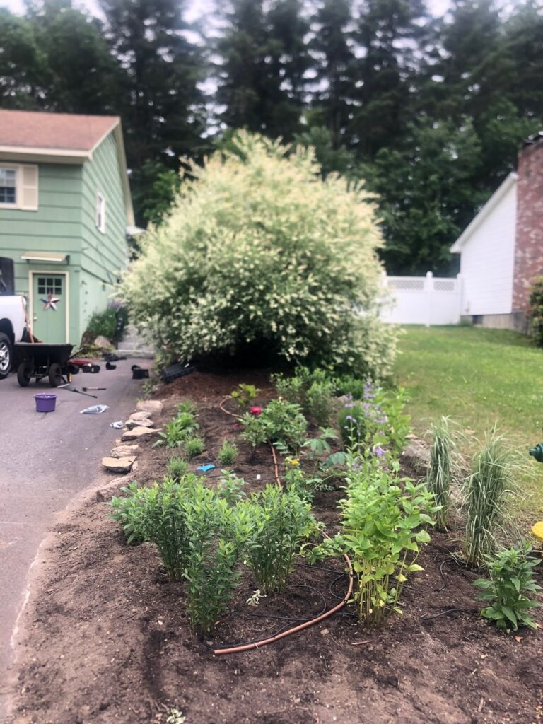 This fun project in Hudson, NH had the crew revisiting and revamping one of our existing gardens! The Excavator dug out 10 yards of poor soil and replaced it with 10 yards of good soil. Last year , in early July, we planted 100 perennials of which half were shade and the others sun loving. These new 80 perennials really made the front side and back yard pond garden quite lovely.
