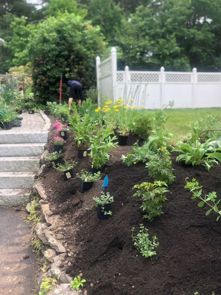 This fun project in Hudson, NH had the crew revisiting and revamping one of our existing gardens! The Excavator dug out 10 yards of poor soil and replaced it with 10 yards of good soil. Last year , in early July, we planted 100 perennials of which half were shade and the others sun loving. These new 80 perennials really made the front side and back yard pond garden quite lovely.