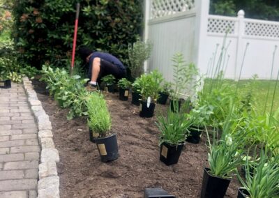 This fun project in Hudson, NH had the crew revisiting and revamping one of our existing gardens! The Excavator dug out 10 yards of poor soil and replaced it with 10 yards of good soil. Last year , in early July, we planted 100 perennials of which half were shade and the others sun loving. These new 80 perennials really made the front side and back yard pond garden quite lovely.