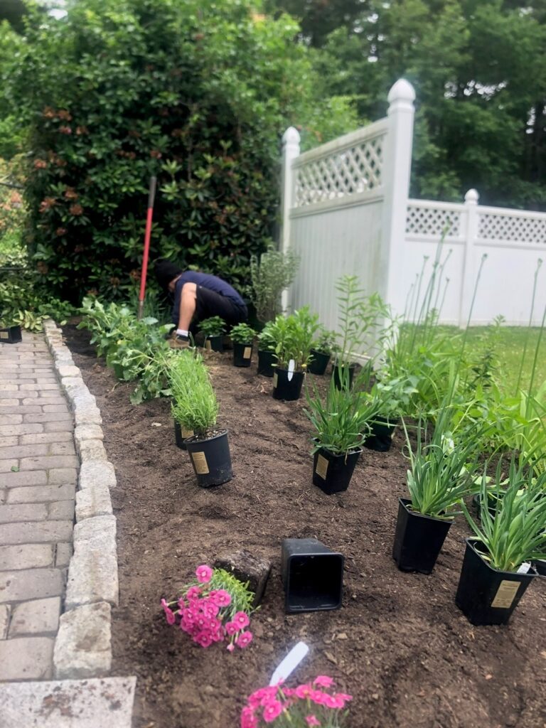 This fun project in Hudson, NH had the crew revisiting and revamping one of our existing gardens! The Excavator dug out 10 yards of poor soil and replaced it with 10 yards of good soil. Last year , in early July, we planted 100 perennials of which half were shade and the others sun loving. These new 80 perennials really made the front side and back yard pond garden quite lovely.