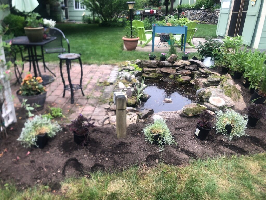This fun project in Hudson, NH had the crew revisiting and revamping one of our existing gardens! The Excavator dug out 10 yards of poor soil and replaced it with 10 yards of good soil. Last year , in early July, we planted 100 perennials of which half were shade and the others sun loving. These new 80 perennials really made the front side and back yard pond garden quite lovely.
