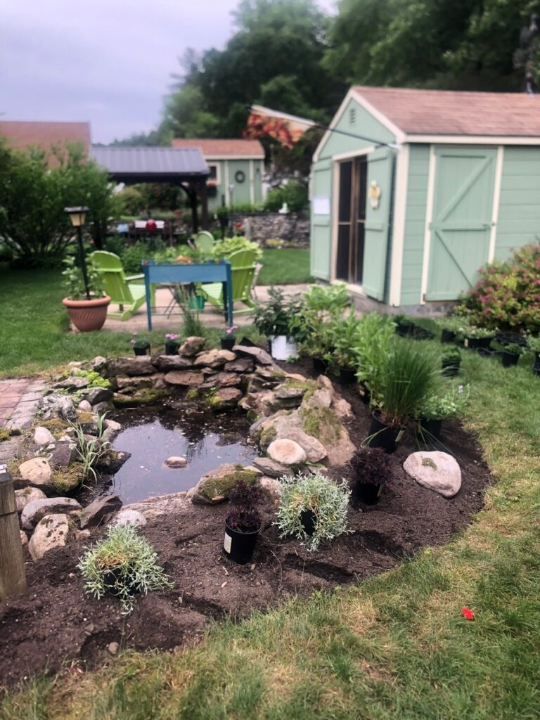 This fun project in Hudson, NH had the crew revisiting and revamping one of our existing gardens! The Excavator dug out 10 yards of poor soil and replaced it with 10 yards of good soil. Last year , in early July, we planted 100 perennials of which half were shade and the others sun loving. These new 80 perennials really made the front side and back yard pond garden quite lovely.