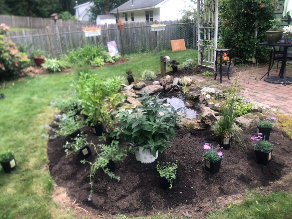 This fun project in Hudson, NH had the crew revisiting and revamping one of our existing gardens! The Excavator dug out 10 yards of poor soil and replaced it with 10 yards of good soil. Last year , in early July, we planted 100 perennials of which half were shade and the others sun loving. These new 80 perennials really made the front side and back yard pond garden quite lovely.
