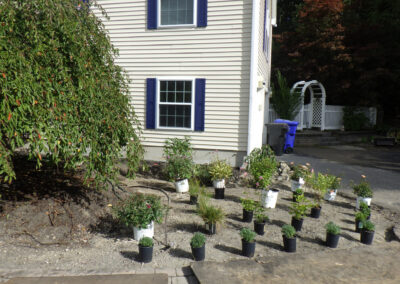Garden Design and Installation in Hudson, NH