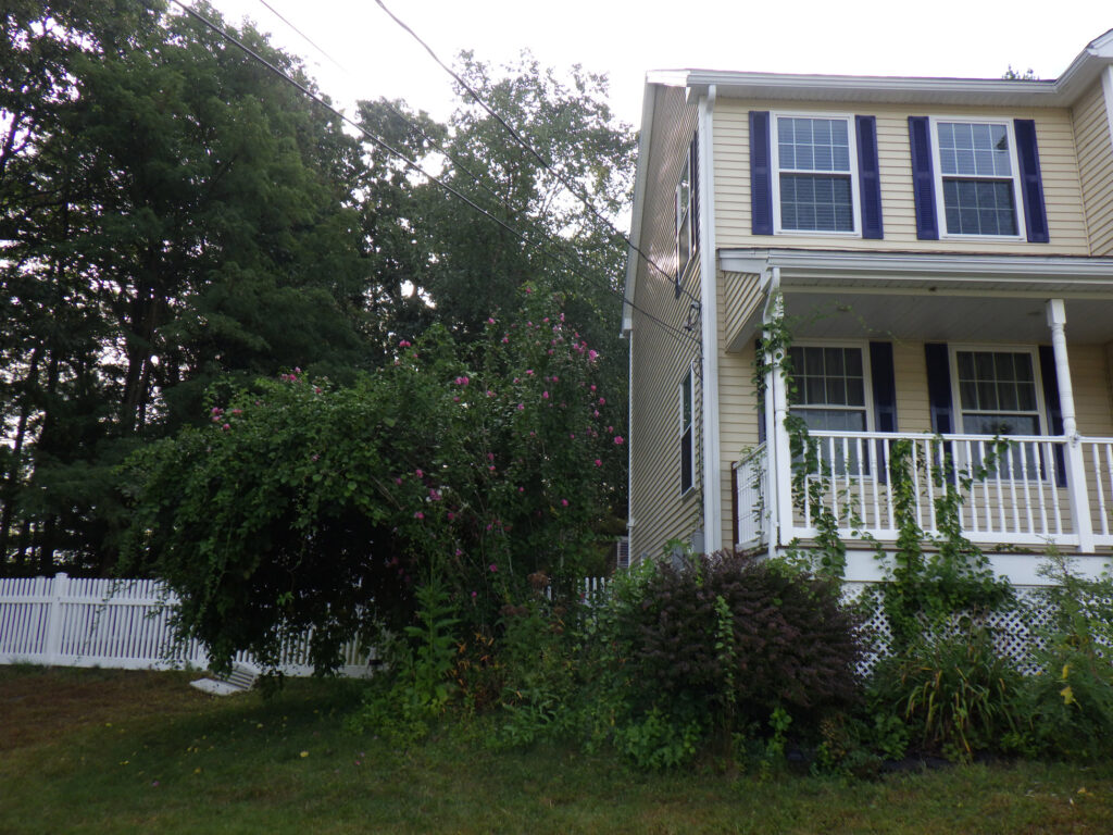 Garden Design and Installation in Hudson, NH