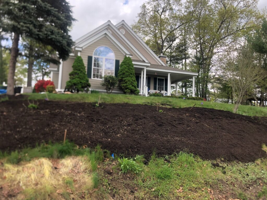 Wildflower Gardens Transformation in Littleton, MA