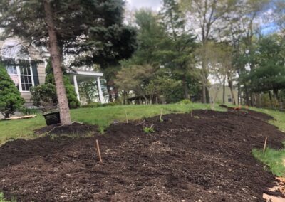 Wildflower Gardens Transformation in Littleton, MA