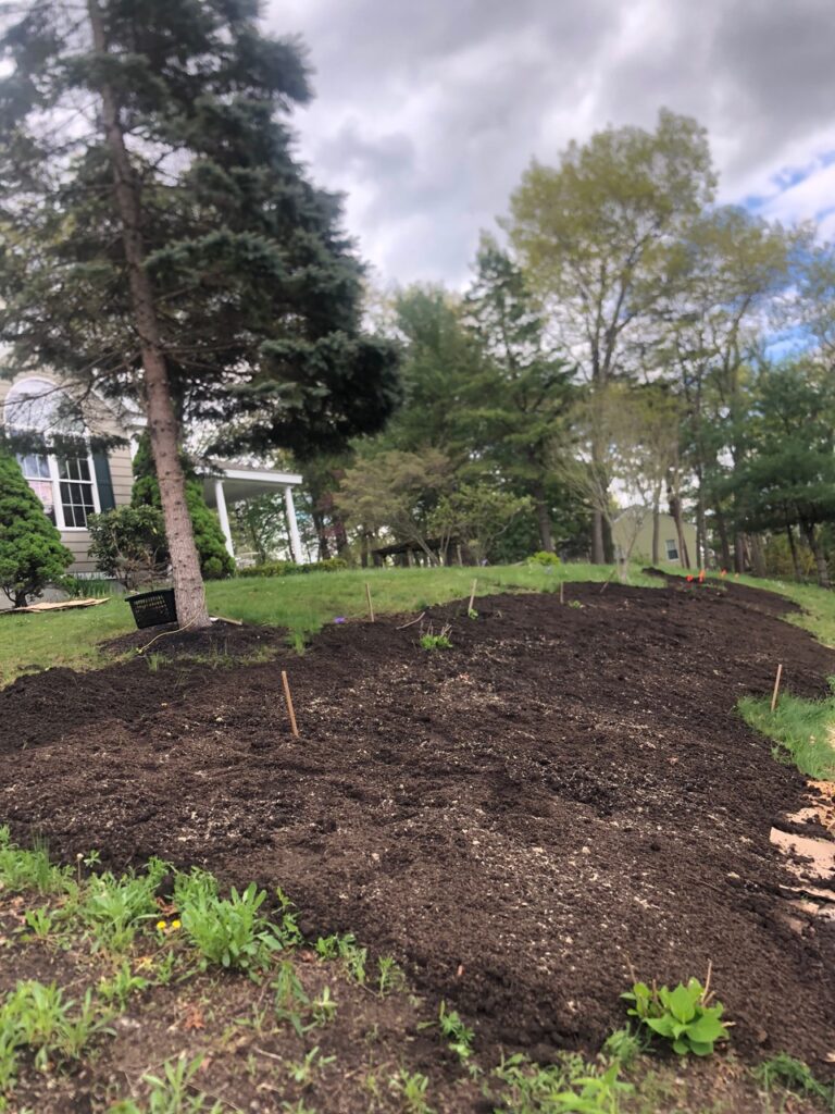 Wildflower Gardens Transformation in Littleton, MA