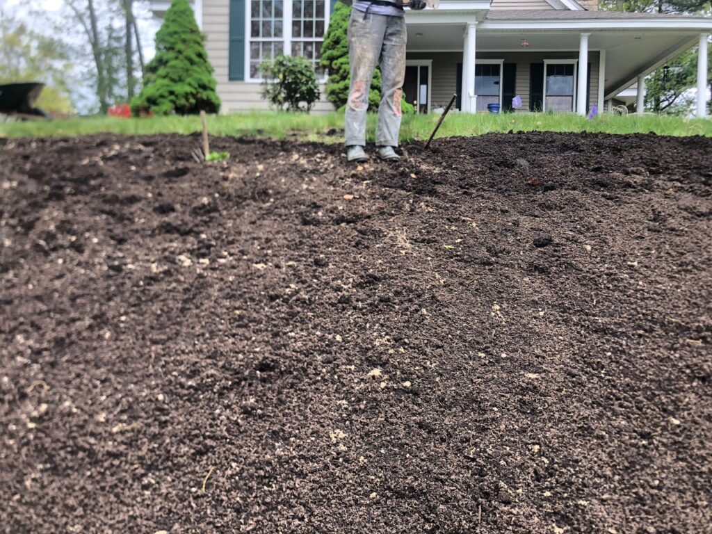 Wildflower Gardens Transformation in Littleton, MA