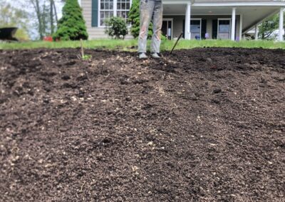 Wildflower Gardens Transformation in Littleton, MA
