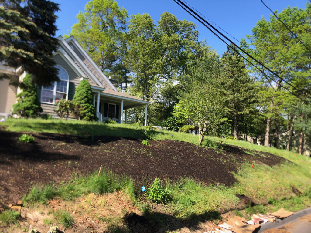 Wildflower Gardens Transformation in Littleton, MA
