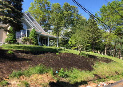 Wildflower Gardens Transformation in Littleton, MA