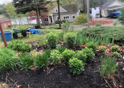 Wildflower Gardens Transformation in Littleton, MA