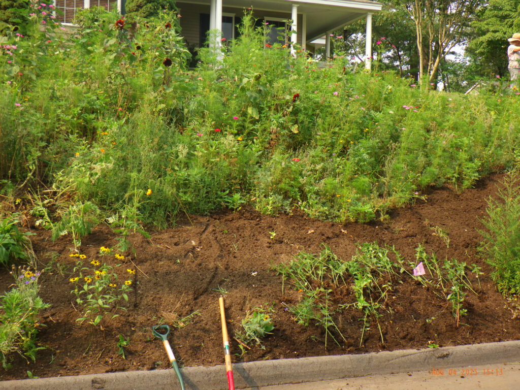 Wildflower Gardens Transformation in Littleton, MA