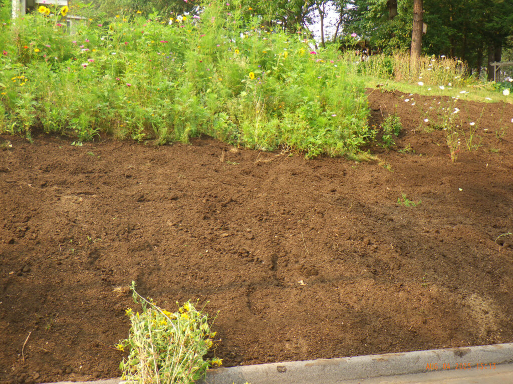 Wildflower Gardens Transformation in Littleton, MA