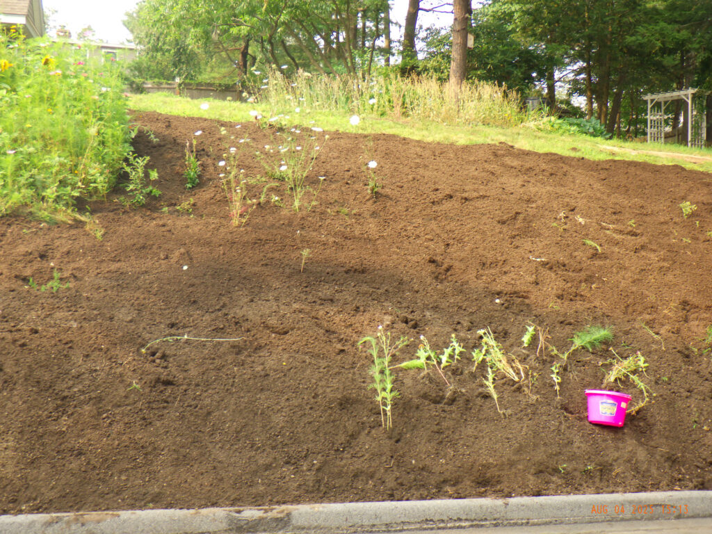 Wildflower Gardens Transformation in Littleton, MA
