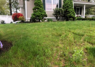 Wildflower Gardens Transformation in Littleton, MA