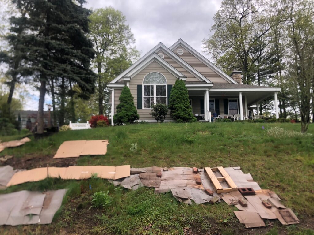 Wildflower Gardens Transformation in Littleton, MA