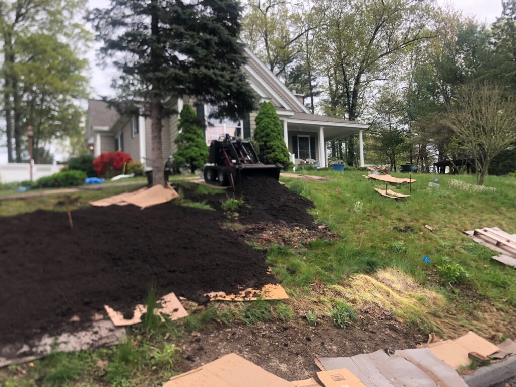 Wildflower Gardens Transformation in Littleton, MA