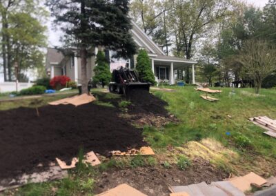 Wildflower Gardens Transformation in Littleton, MA