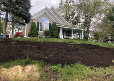 Wildflower Gardens Transformation in Littleton, MA