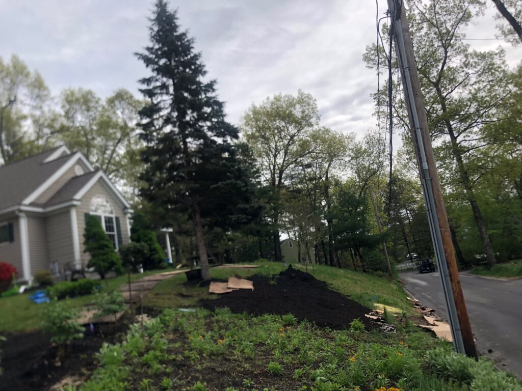 Wildflower Gardens Transformation in Littleton, MA
