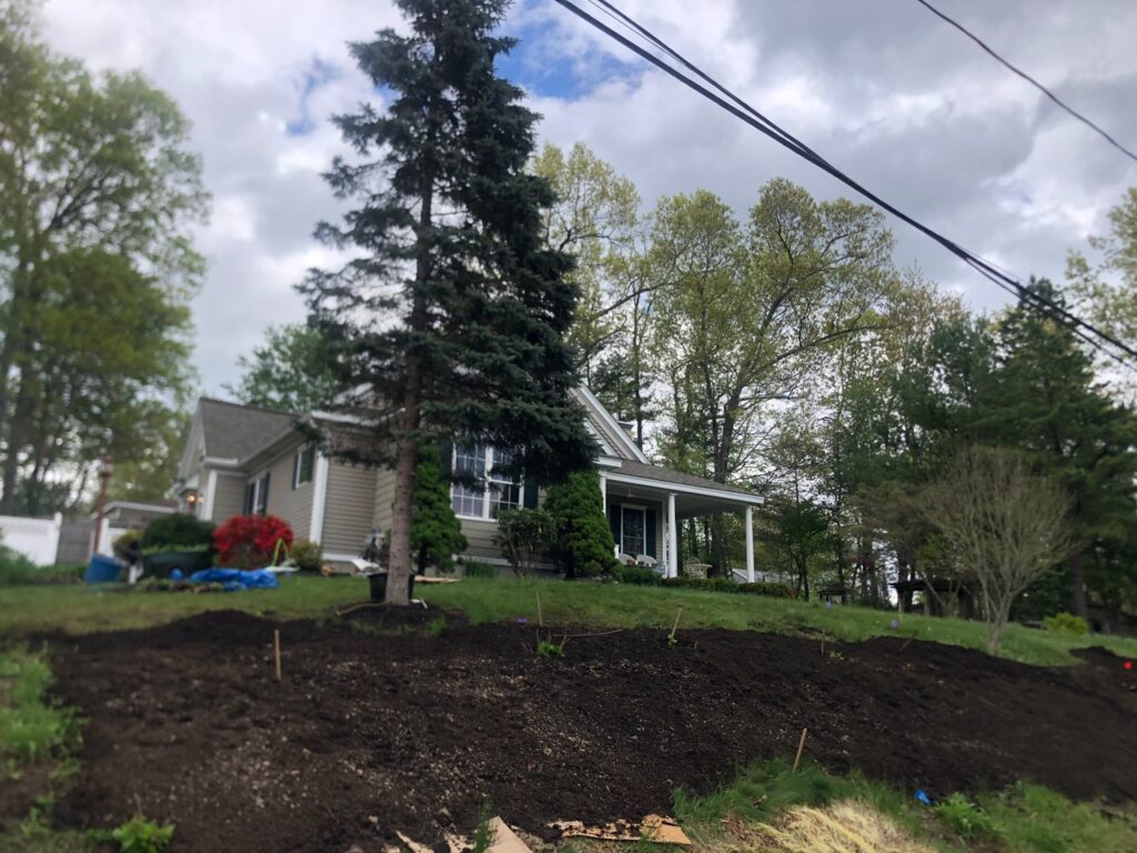 Wildflower Gardens Transformation in Littleton, MA