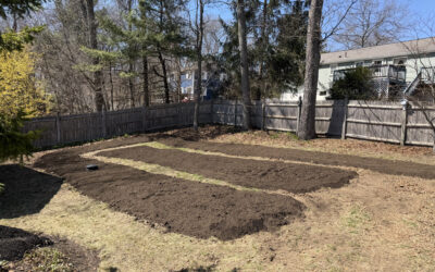 Pollinator Garden Upgrade & Maintenance in Littleton, MA
