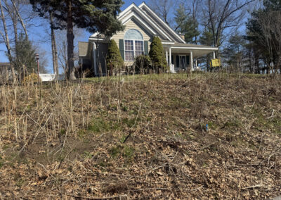 Pollinator Garden Upgrade & Maintenance in Littleton, MA