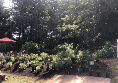 Garden Installation and Garden Design in Nashua, NH