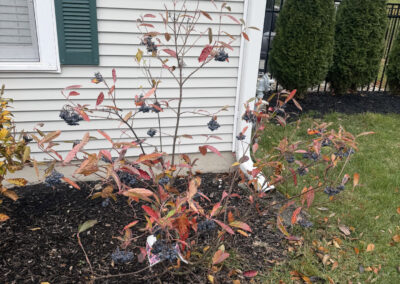 New Beginnings in Nashua, NH