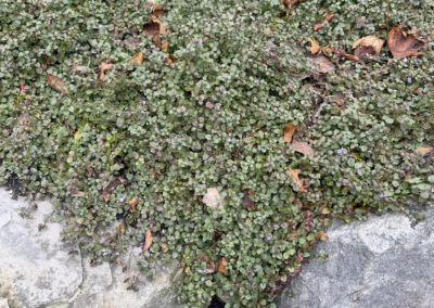 New Beginnings in Nashua, NH