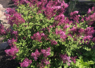 New Beginnings in Nashua, NH