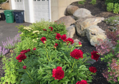 New Beginnings in Nashua, NH