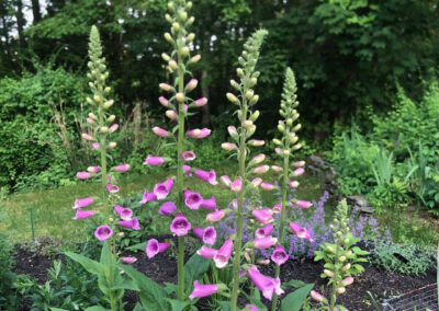 New Beginnings in Nashua, NH