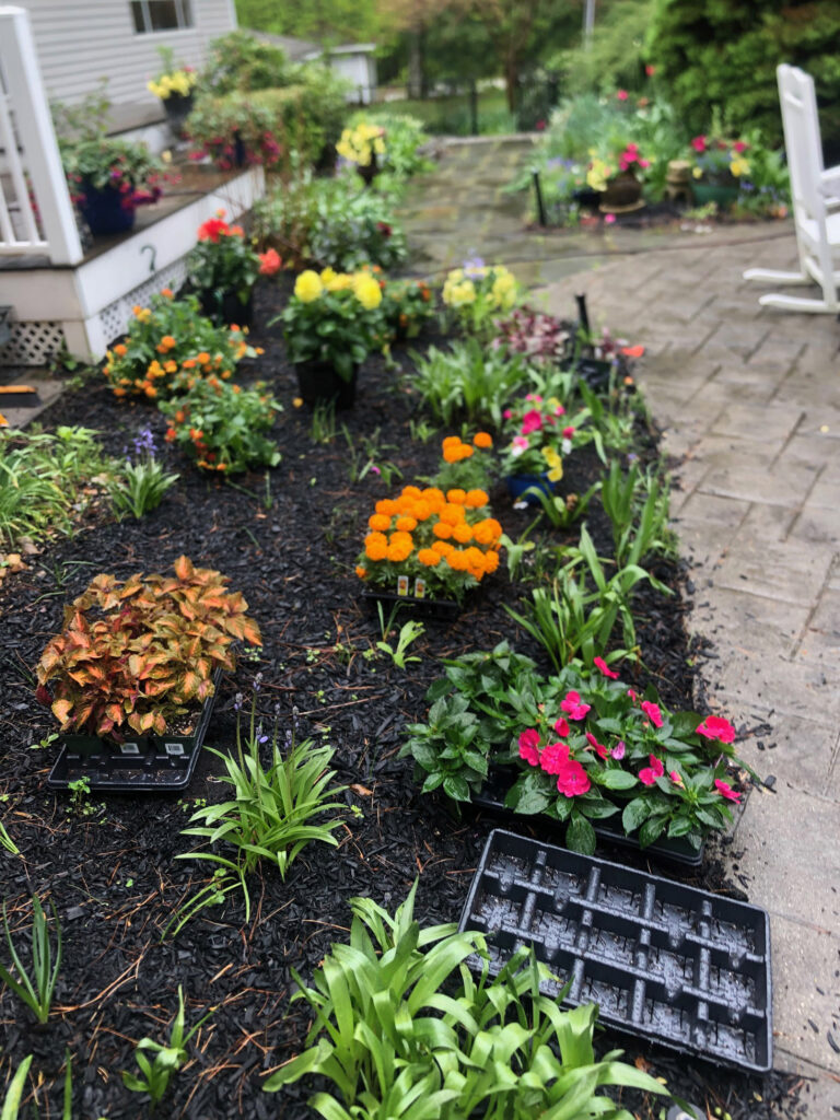 Garden Bonanza Transformation in Nashua, NH