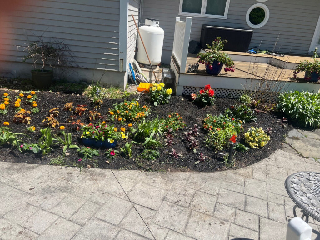 Garden Bonanza Transformation in Nashua, NH