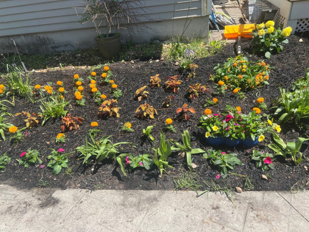 Garden Bonanza Transformation in Nashua, NH
