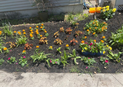 Garden Bonanza Transformation in Nashua, NH