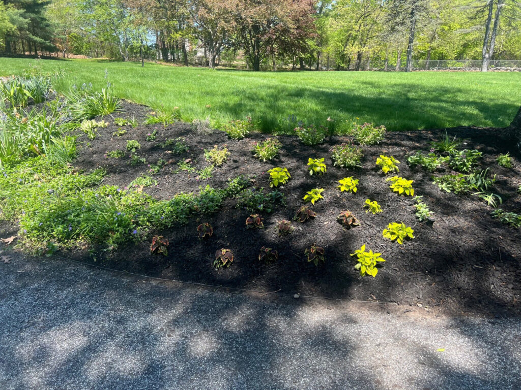 Garden Bonanza Transformation in Nashua, NH