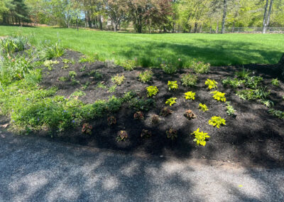 Garden Bonanza Transformation in Nashua, NH