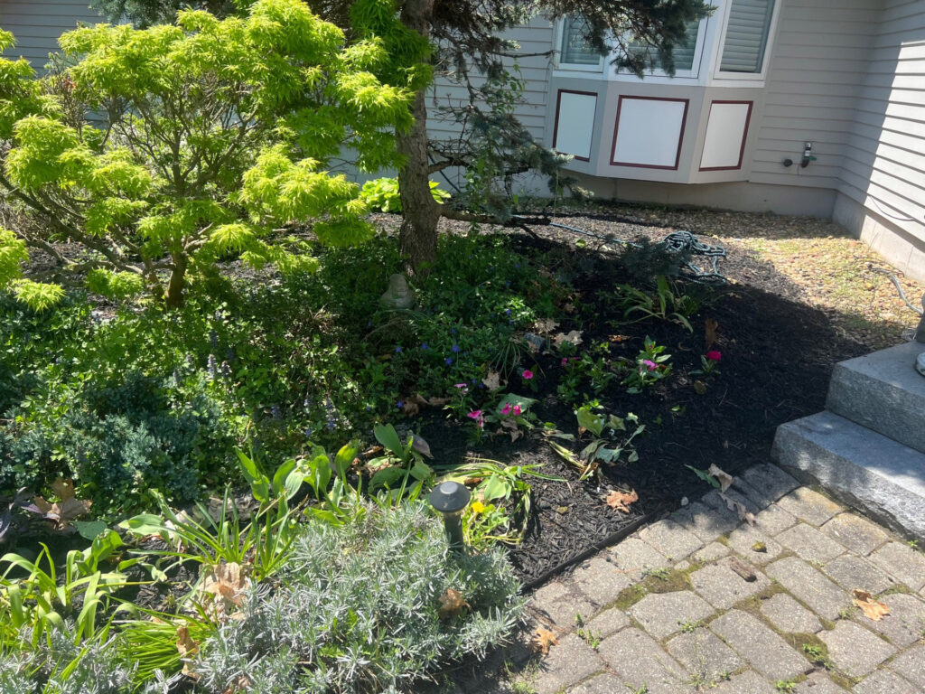 Garden Bonanza Transformation in Nashua, NH