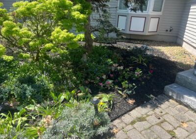 Garden Bonanza Transformation in Nashua, NH